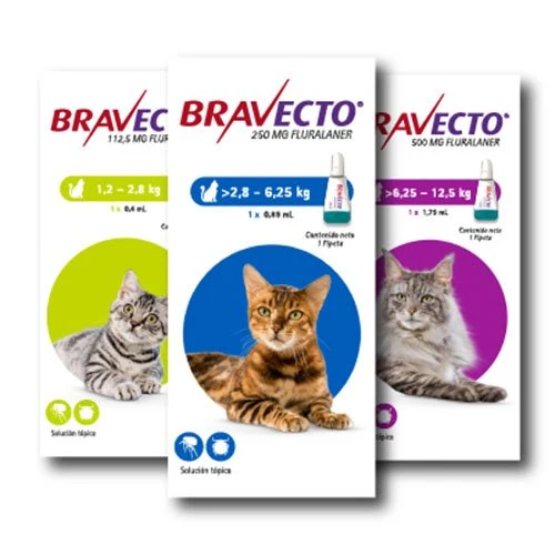 Bravecto Spot On Gatos - Antipulgas y Garrapatas 12 Semanas Tópico