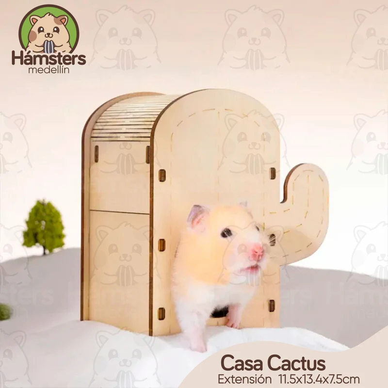 Casa Cactus Hamsters Roedores