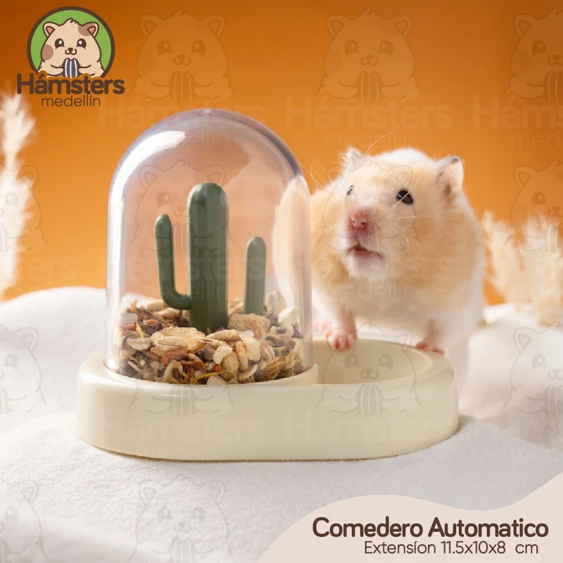 Comedero automático Hámster Roedores