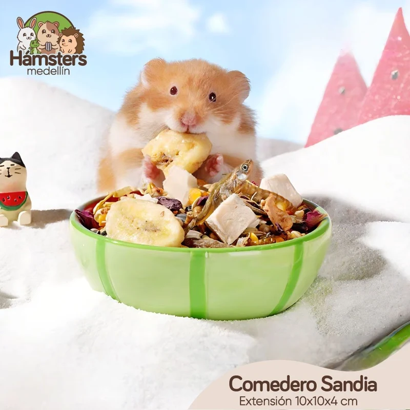 Comedero Cerámica Sandia
