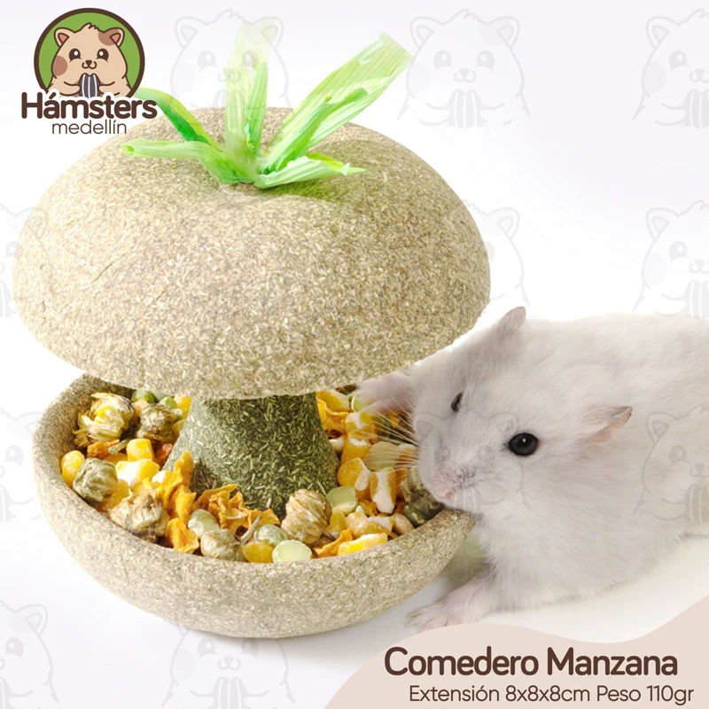 Comedero Masticable Cuidado Oral Roedores Conejos y Cobayas