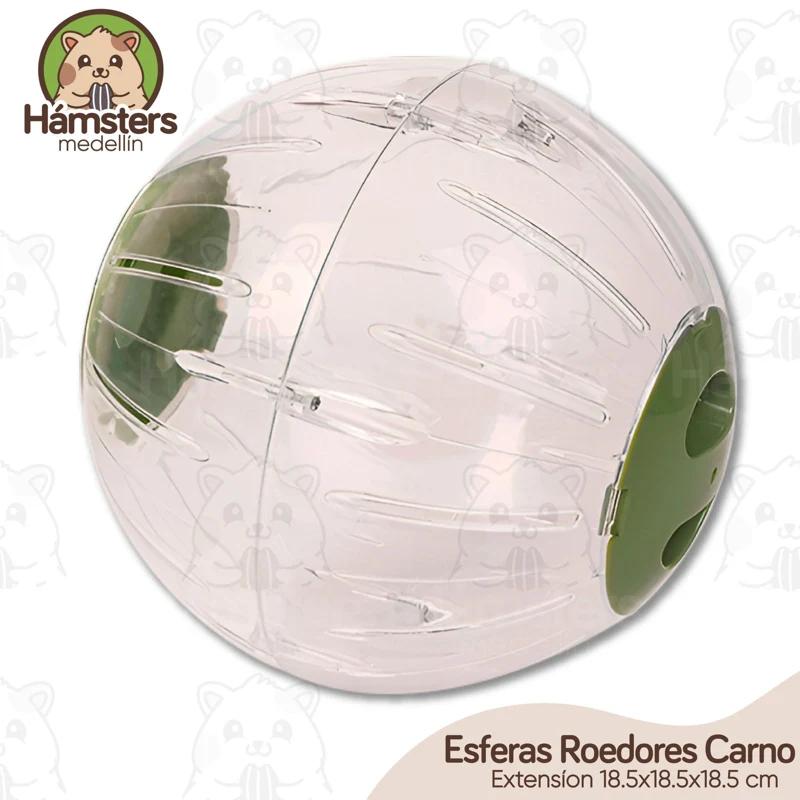 Esfera Bola Hámster Rueda Ejercicio Roedores