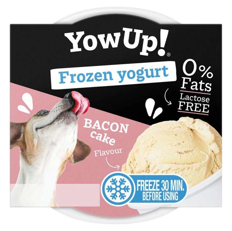 Frozen yogurt yowUp 110g