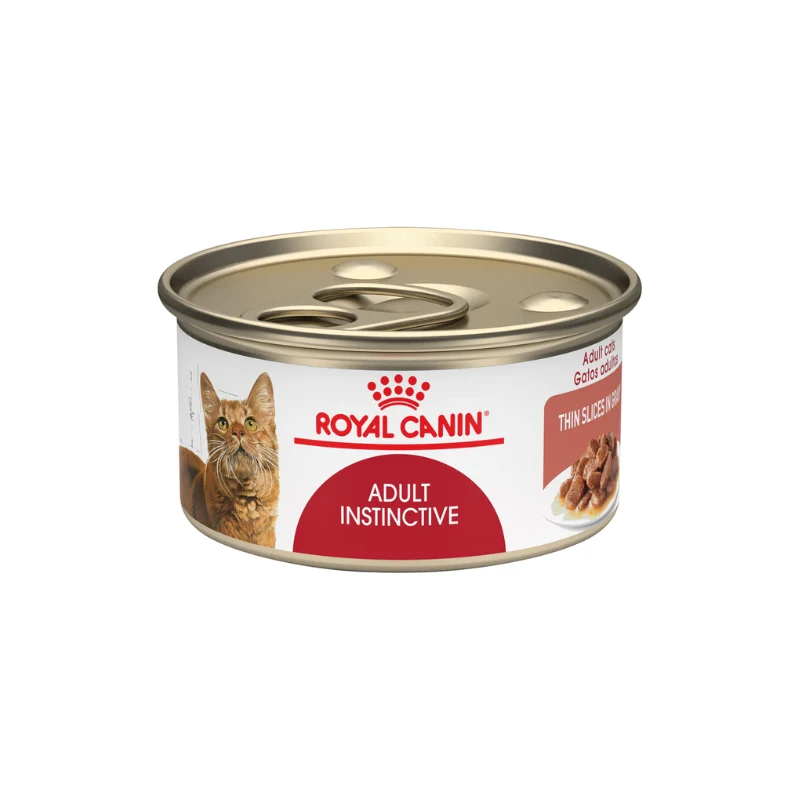 Royal Canin Adult Inst Lata