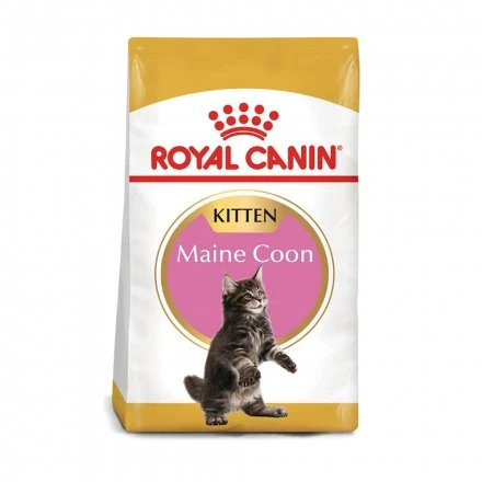 Royal Canin Maine Coon Kitten - Gatitos Maine Coon hasta 15 Meses